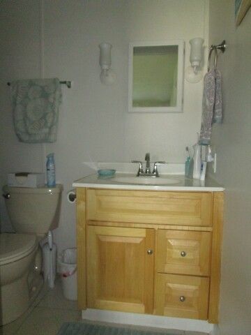 ensuite vanity, toilet