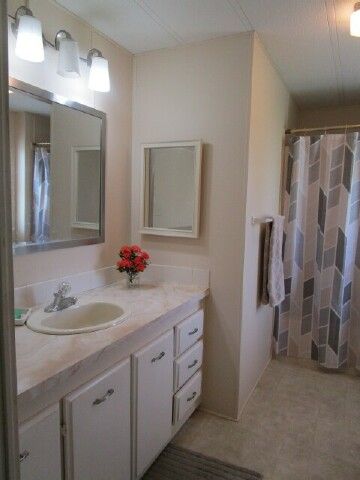 ensuite vanity, WI shower