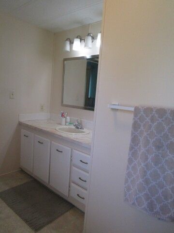 ensuite vanity, view  from WI shower