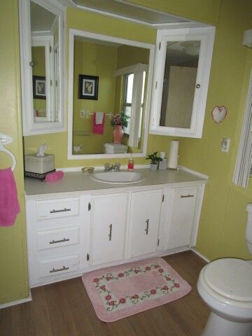 master large vanity area