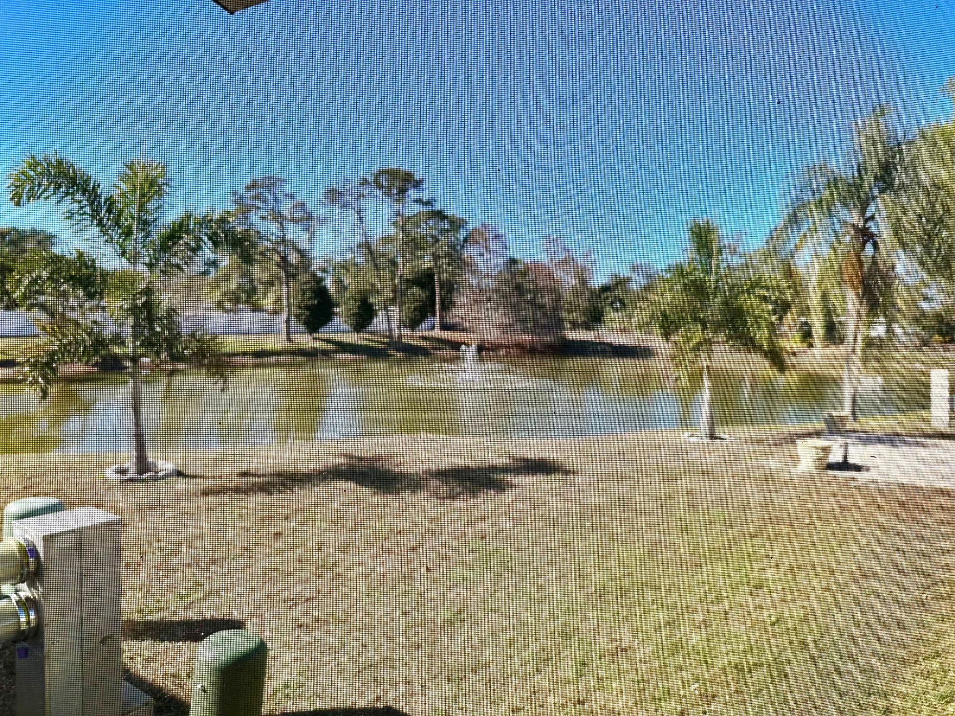 Back Yard Lighted Pond View