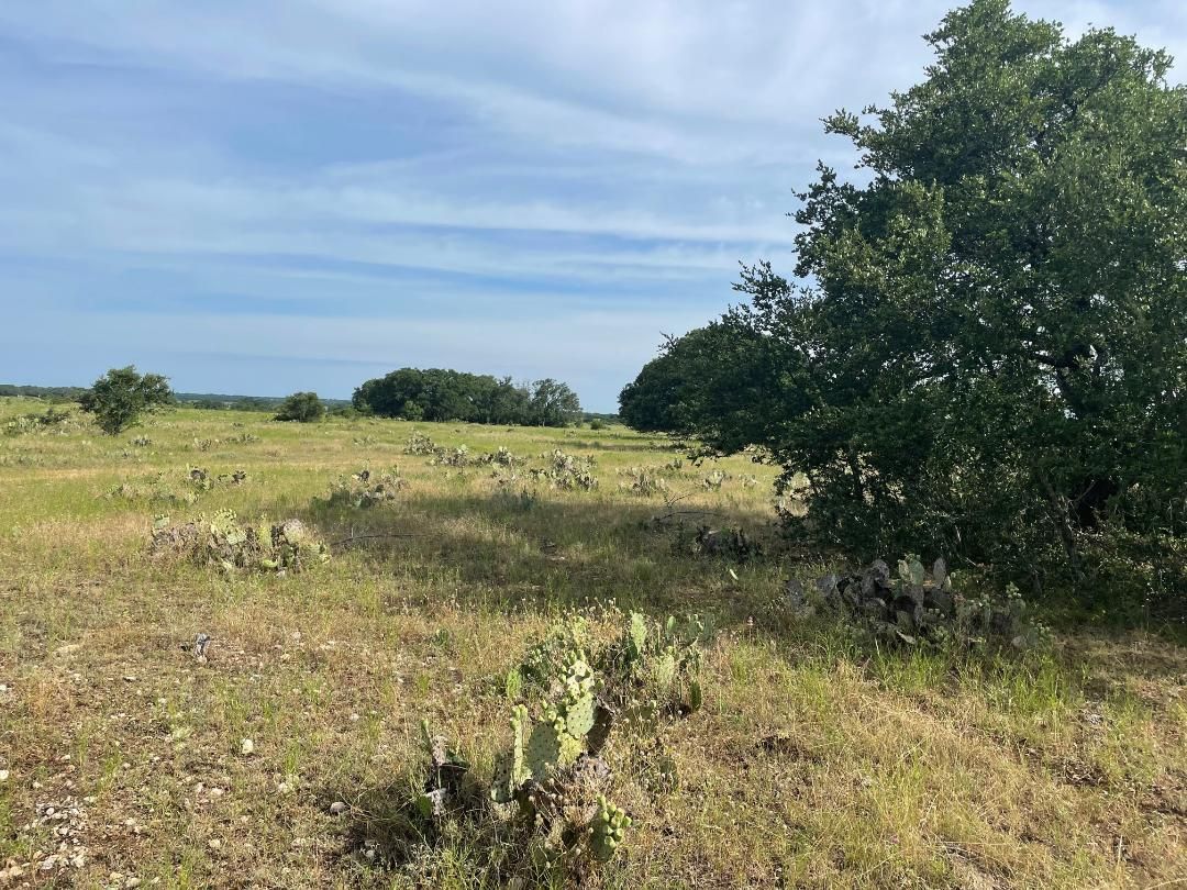 Farms and Ranches for Sale