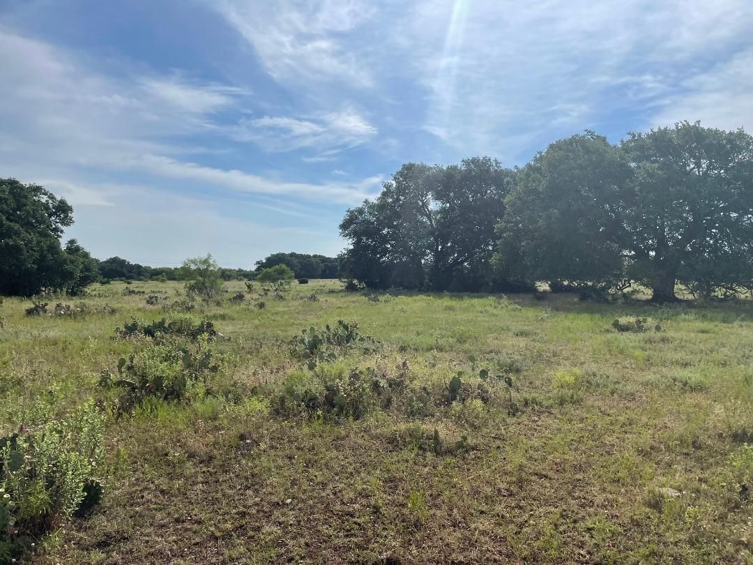 Farms and Ranches for Sale