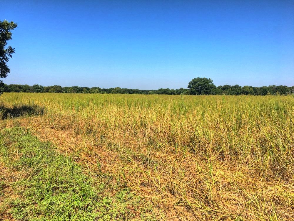 Farms and Ranches for Sale